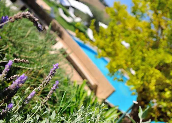 Castello Di 4* Monterado